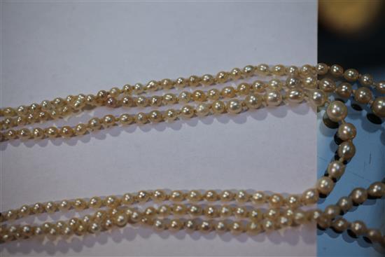 A late 19th/early 20th century triple strand graduated natural pearl necklace with gold, ruby and diamond set oval clasp, 22in.